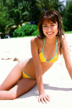 宠灵实验室之狸奴艾莉